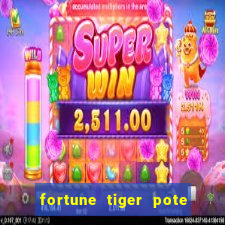 fortune tiger pote de ouro